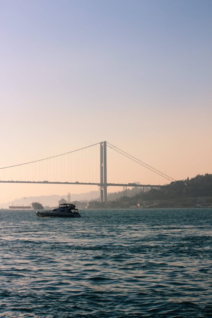 pexels zeynep sahin 19770658 scaled 1