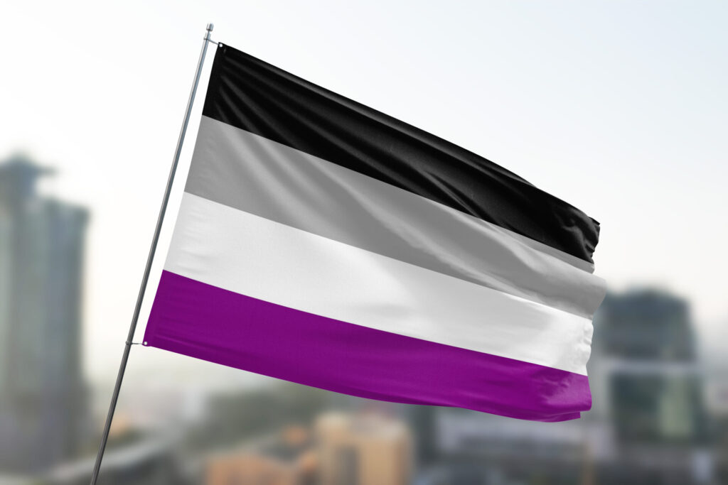 Asexual Flag