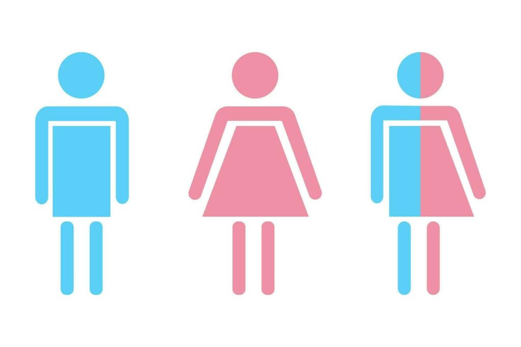 male female and transgender